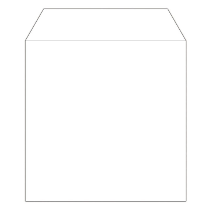 MediaRange Paper Sleeves for 1 Disc White 100 Pack (MRBOX66)