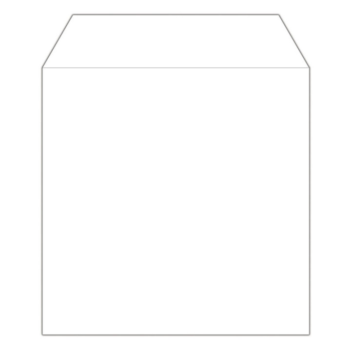 MediaRange Paper Sleeves for 1 Disc White 100 Pack (MRBOX66)